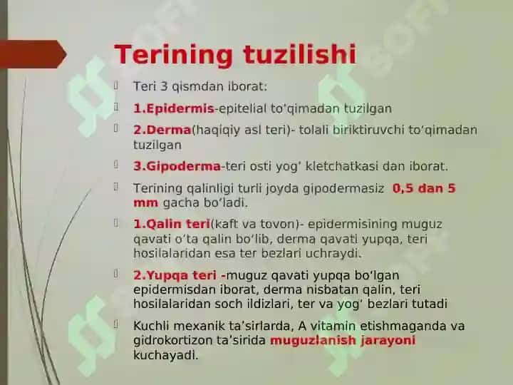 TERI VA UNING HOSILALARI 6