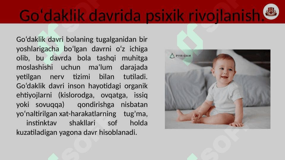 ILK BOLALIK DAVRI 3