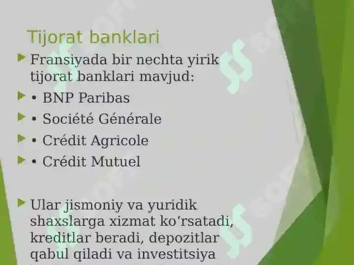 fransiya bank tizimi taqdimot 6