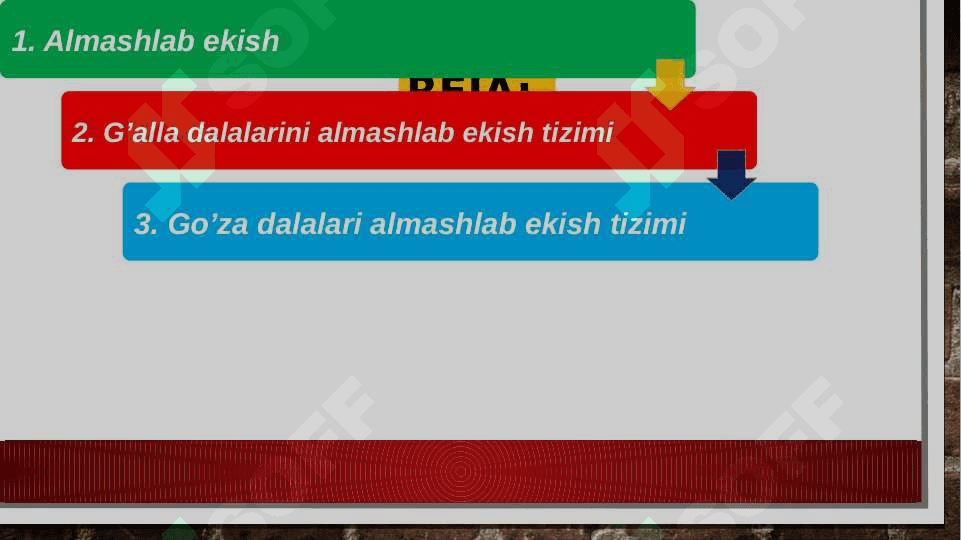 Bo’g’doy-g’o’za almashlab ekish tizimi 2