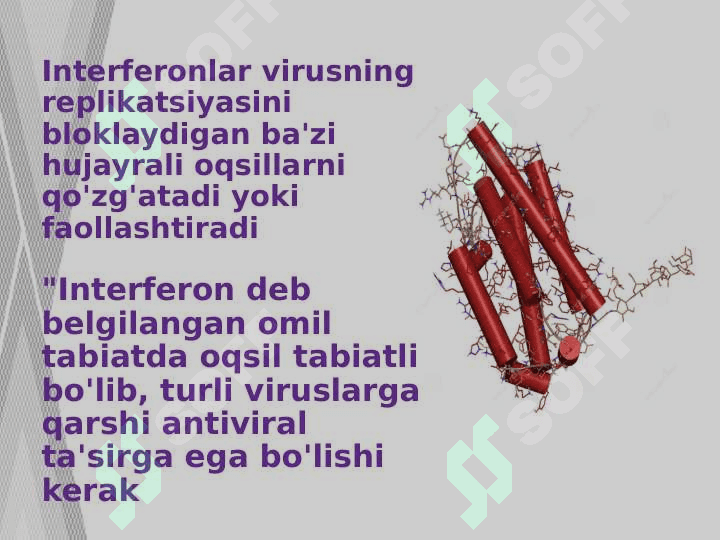 Interferon va sitokinlar sintezlanishi, ta’sir mexanizimi 3