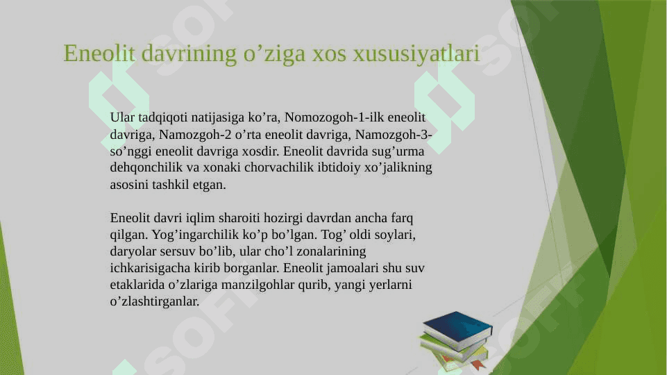 Eneolit davri xususiyatlari va manzilgohlari 4