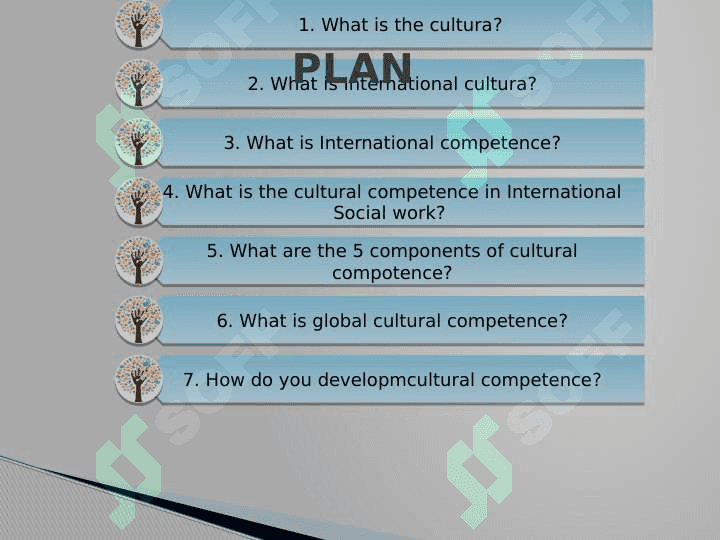 International cultural competences 2