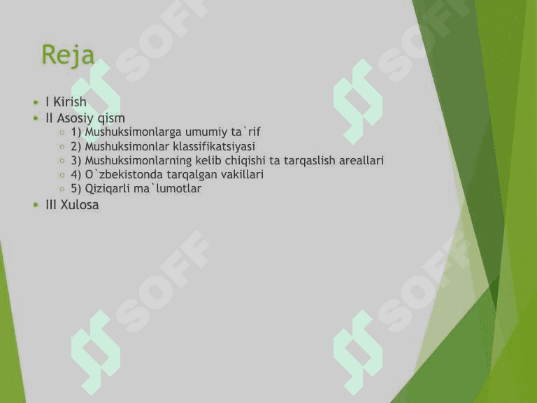 Mushuksimonlar oilasi,  ularga umumiy ta'rif 2