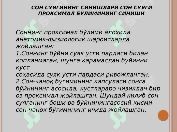 Son suyagi sinishi 2