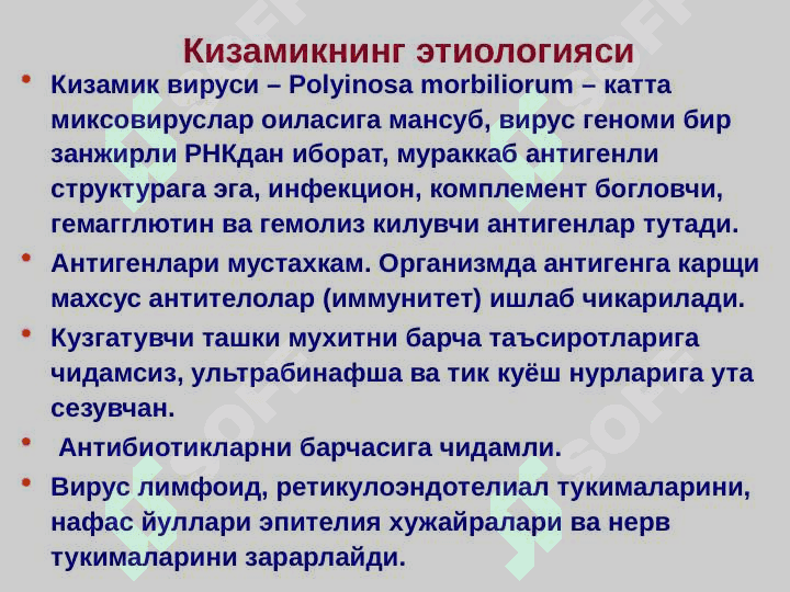 Qizamiq 3