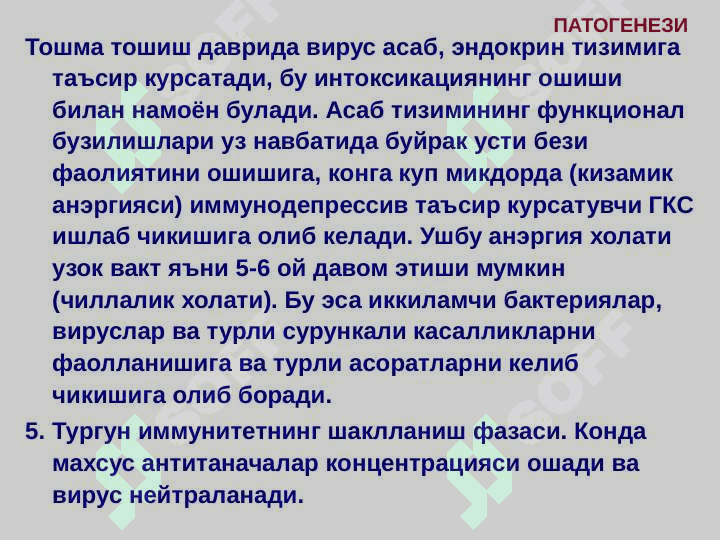 Qizamiq 7