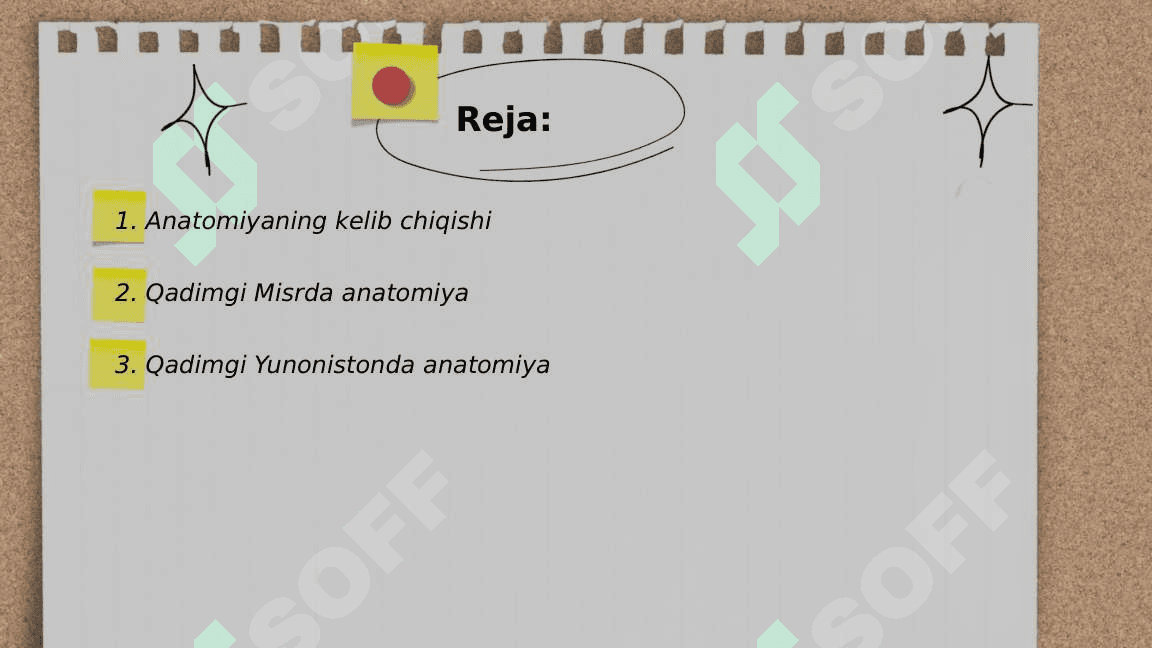 Anatomiya fanining qisqacha tarixiy ocherki. 2