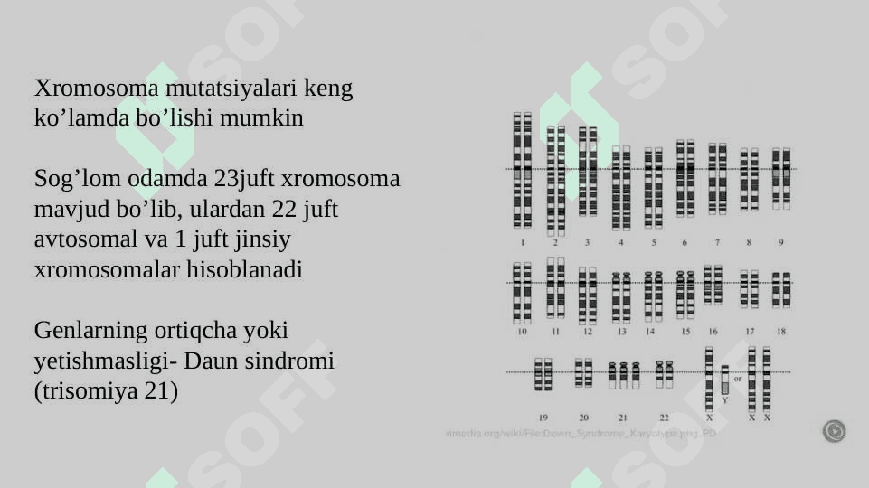 Genetik xastaliklarning molekulyar  diagnostik asoslari 4