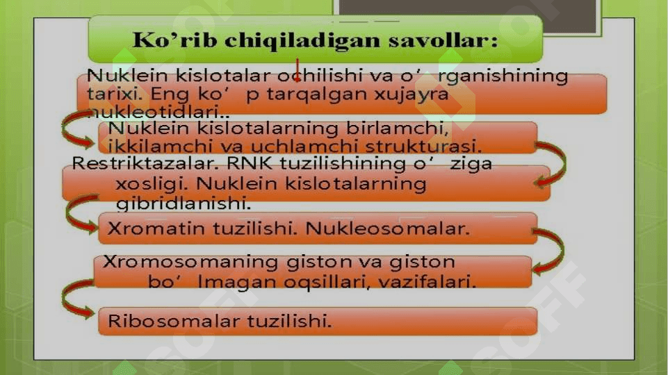 Nuklein kislotalar 3