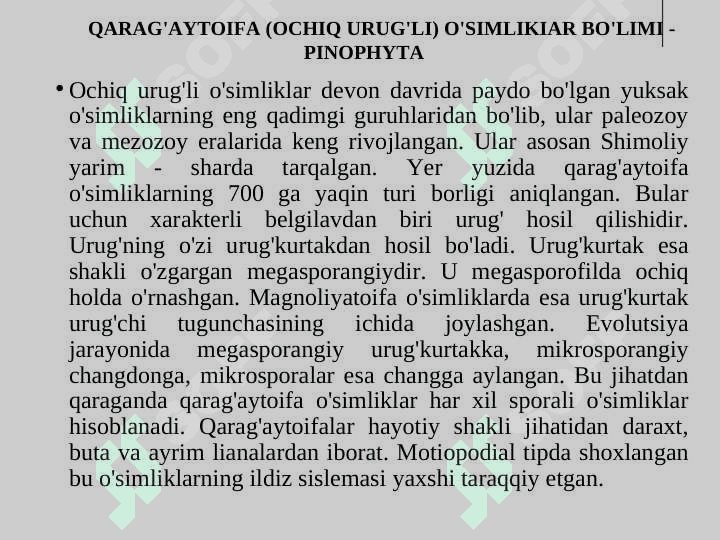 QARAG'AYTOIFA (OCHIQ URUG'LI) O'SIMLIKIAR BO'LIMI - PINOPHYTA 2