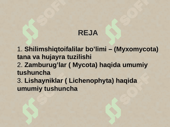 Shilimshiqlar, zamburug‘lar va lishayniklar 2