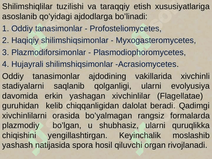 Shilimshiqlar, zamburug‘lar va lishayniklar 5