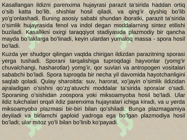 Shilimshiqlar, zamburug‘lar va lishayniklar 8