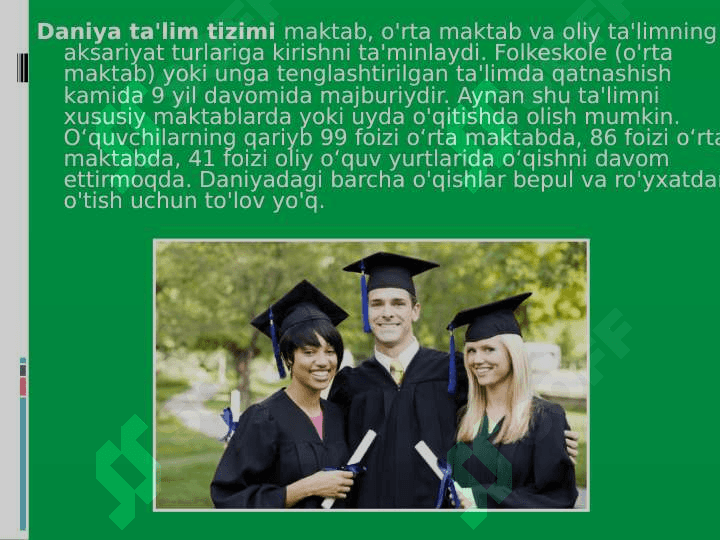 Daniya ta'lim tizimi 2