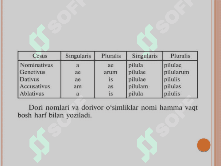 Otlarning 1 va 5 turlanishiga 
oid test savollari 3