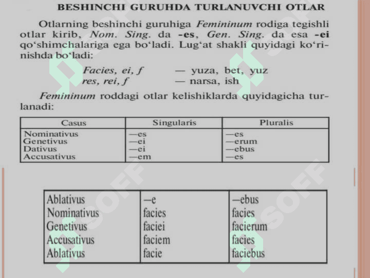 Otlarning 1 va 5 turlanishiga 
oid test savollari 4