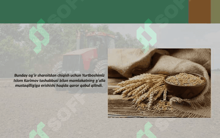 O'zbekiston iqtisodiyotidagi yutuqlar 4