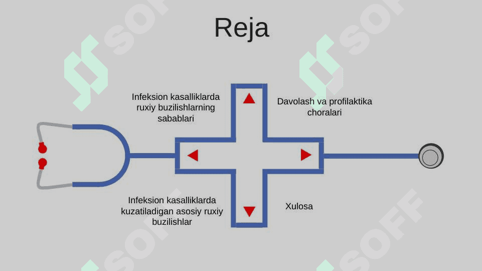 Infeksion kasalliklardagi ruhiy buzilishlar 2