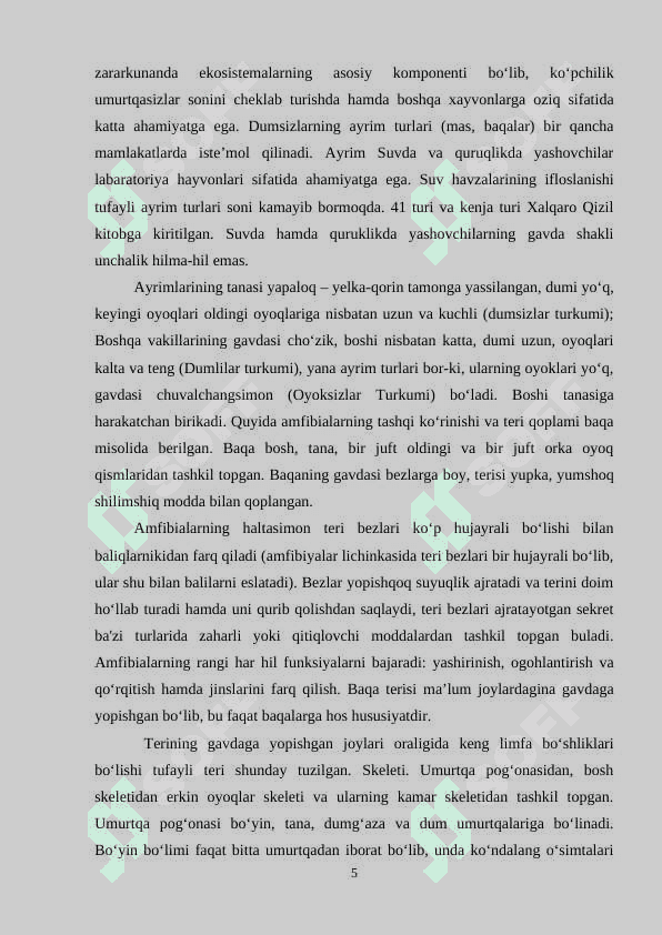 Amfibiyalarning umumiy tasnifi 5