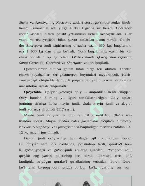 SUT EMIZUVCHILAR SINFIGA MANSUB CHORVA MOL MAVUZSIDA 3