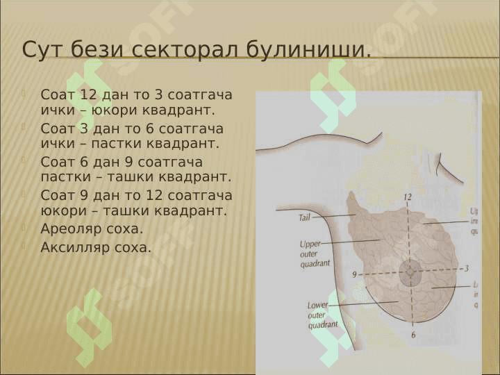 Сут бези саратони 4