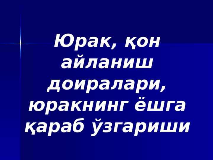 Юрак, қон айланиш доиралари, юракнинг ёшга қараб ўзгариши