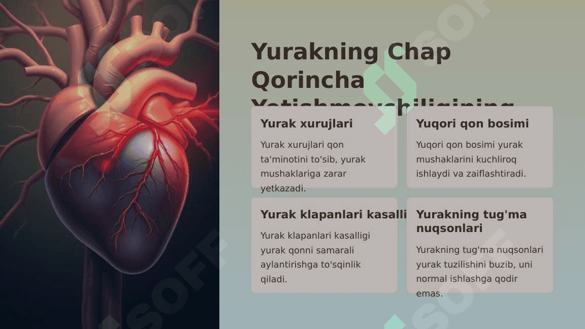 Yurakning chap qorincha yetishmovchiligining gemodinamikasi. 5