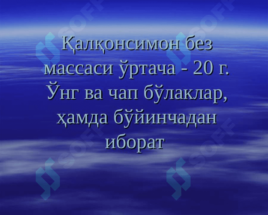 Қалқонсимон без ва уни функсияси 3