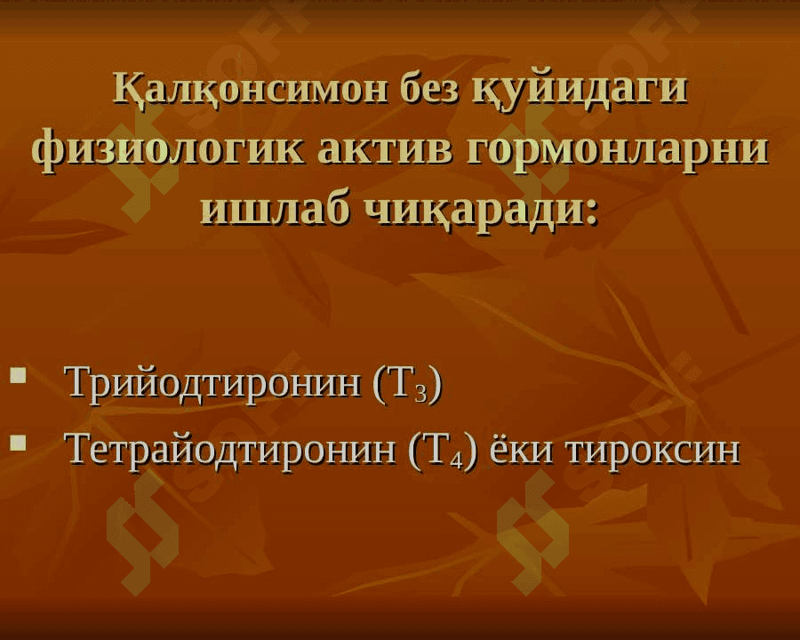 Қалқонсимон без ва уни функсияси 4