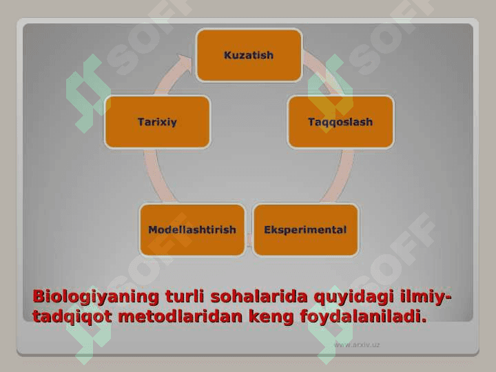 Biologiya rivojlanishi 5