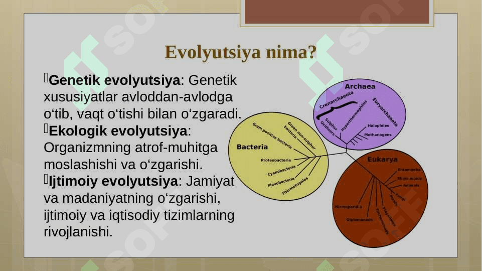 Shaxsni evolyutsion jihatdan rivojlanishi 5