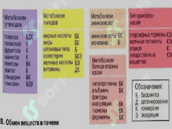 jigar bioximyasi 5