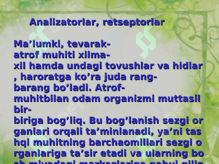 Ko'ruv analizatori 3