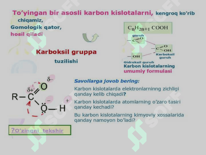 Karbon kislotalar 6