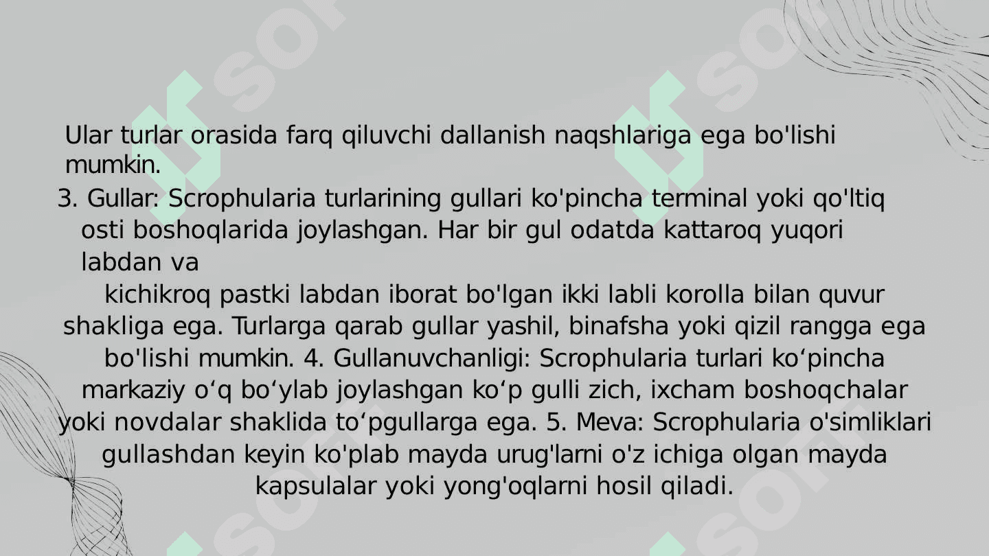 Sigirquyruqdoshlar oilasi 4