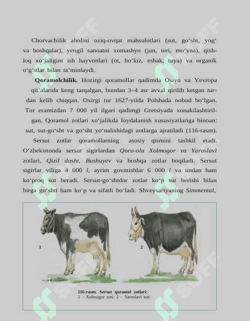 SUT EMIZUVCHILAR SINFIGA MANSUB CHORVA MOL MAVUZSIDA ishlanma 2