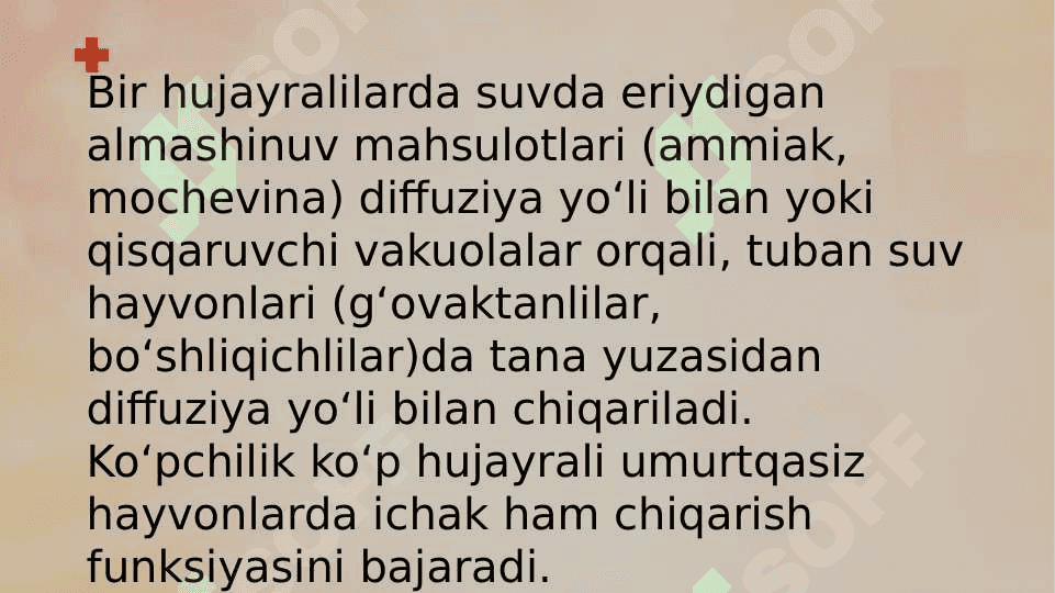 AYIRISH SISTEMASI 4