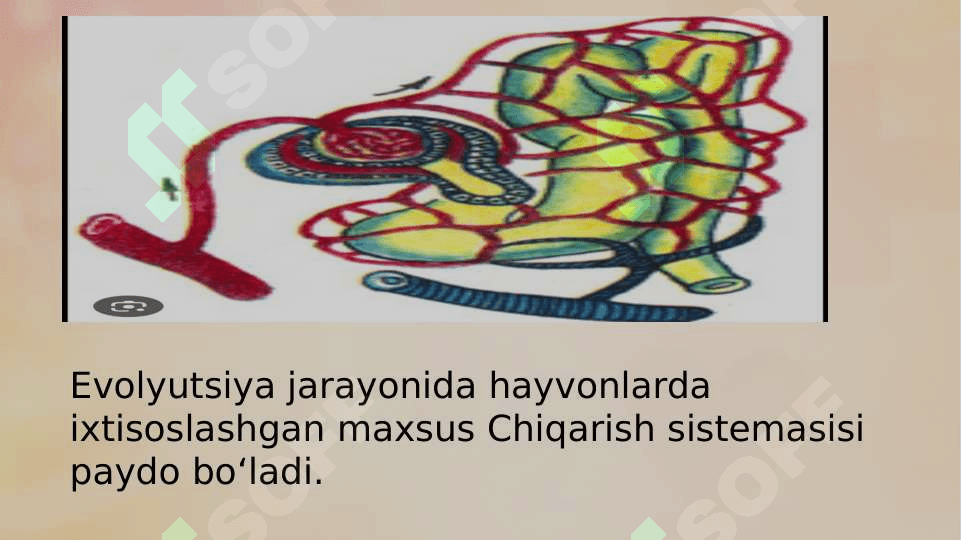 AYIRISH SISTEMASI 5