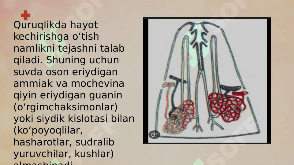 AYIRISH SISTEMASI 7