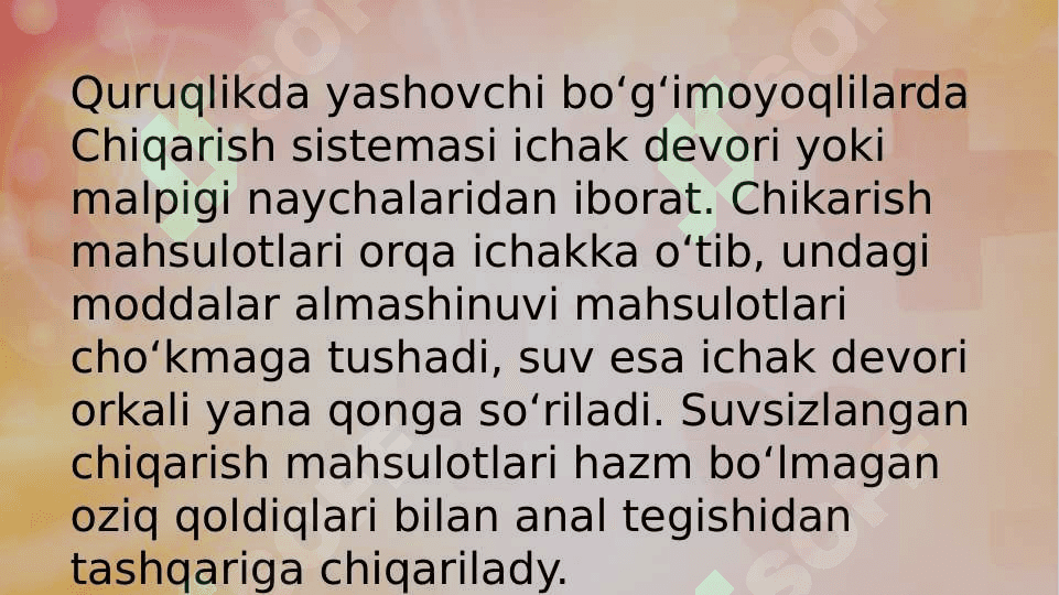 AYIRISH SISTEMASI 8