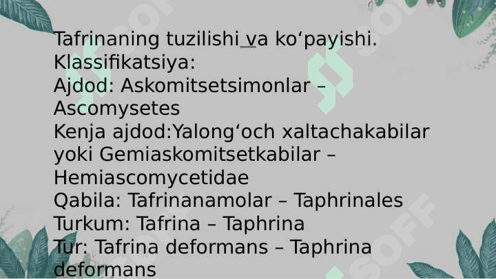 Achitqi va tafrinaning tuzulishi  va koʻpayishi 8