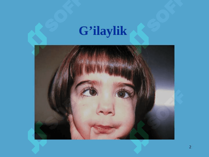 G'ilaylik turlari 2