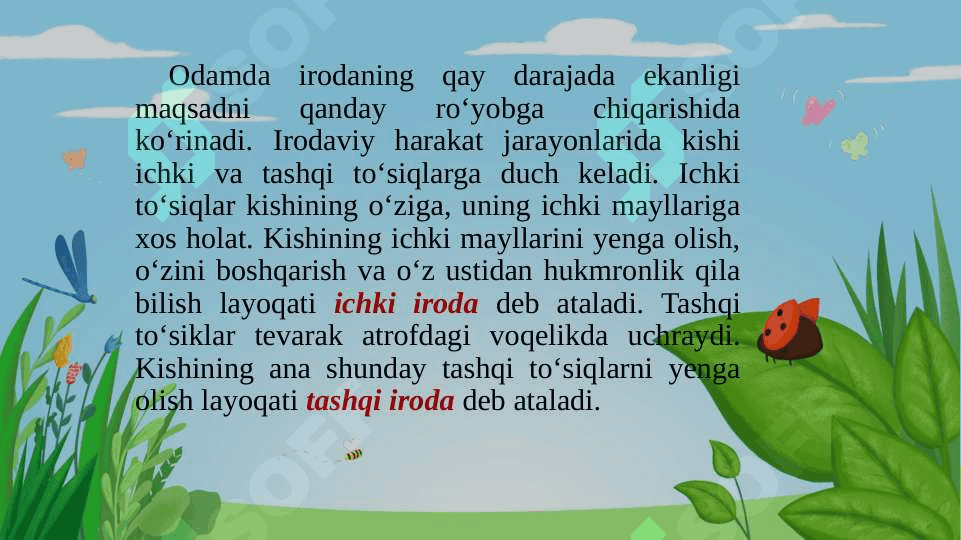 Iroda haqida umumiy tushuncha 4