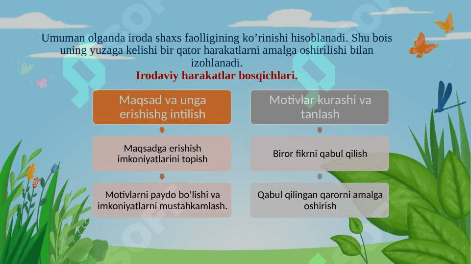 Iroda haqida umumiy tushuncha 7