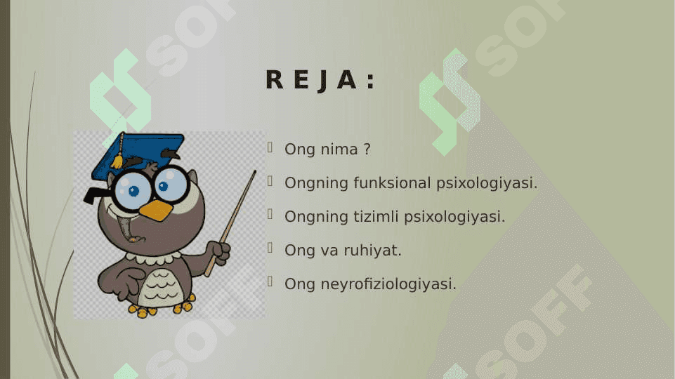 Ong psixologiyasi va neyrofiziologiyasi 2
