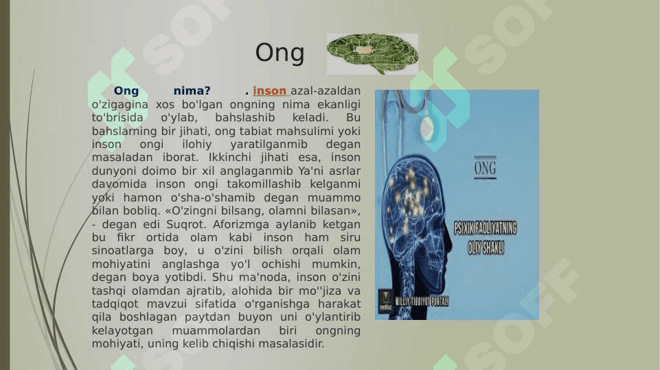 Ong psixologiyasi va neyrofiziologiyasi 3