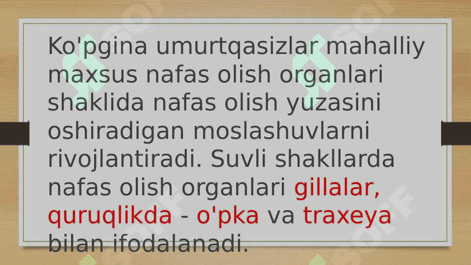 Nafas olish tizimi filogenezi va buzilishi. 6