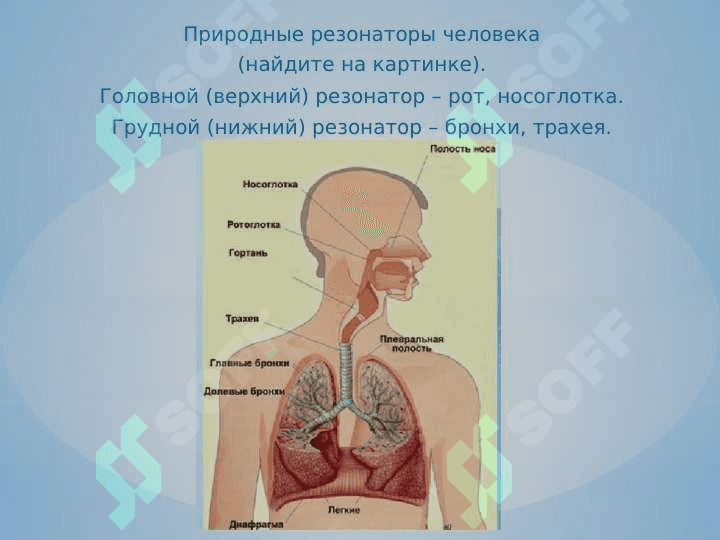 Детский голосовой аппарат 4