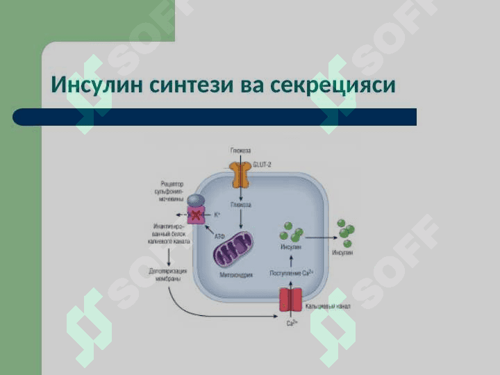 Моддалар алмашинуви хасталиклари 4